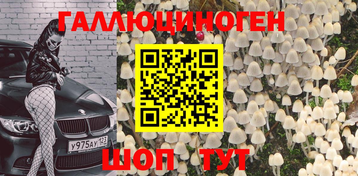 Псилоцибиновые грибы ЛСД  цена   Котельники  Вход с VPN 