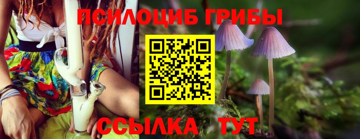 Галлюциногенные грибы MAGIC MUSHROOMS Котельники
